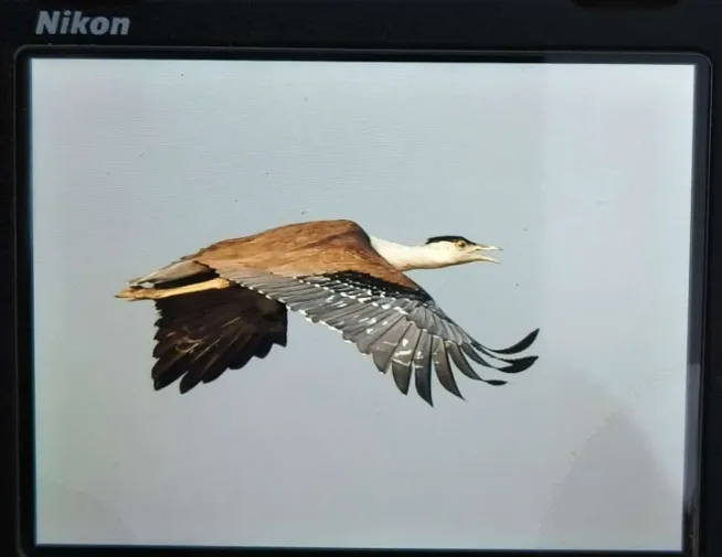 00000063-PHOTO-2025-08-14-21-31-50