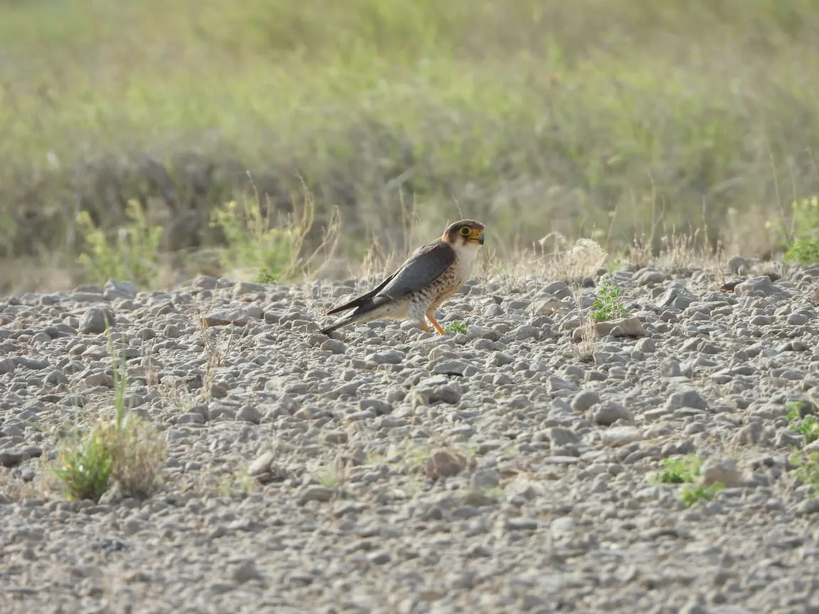 00000070-PHOTO-2025-08-15-22-06-13