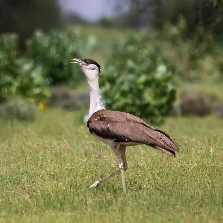 00000087-PHOTO-2025-08-16-10-18-49