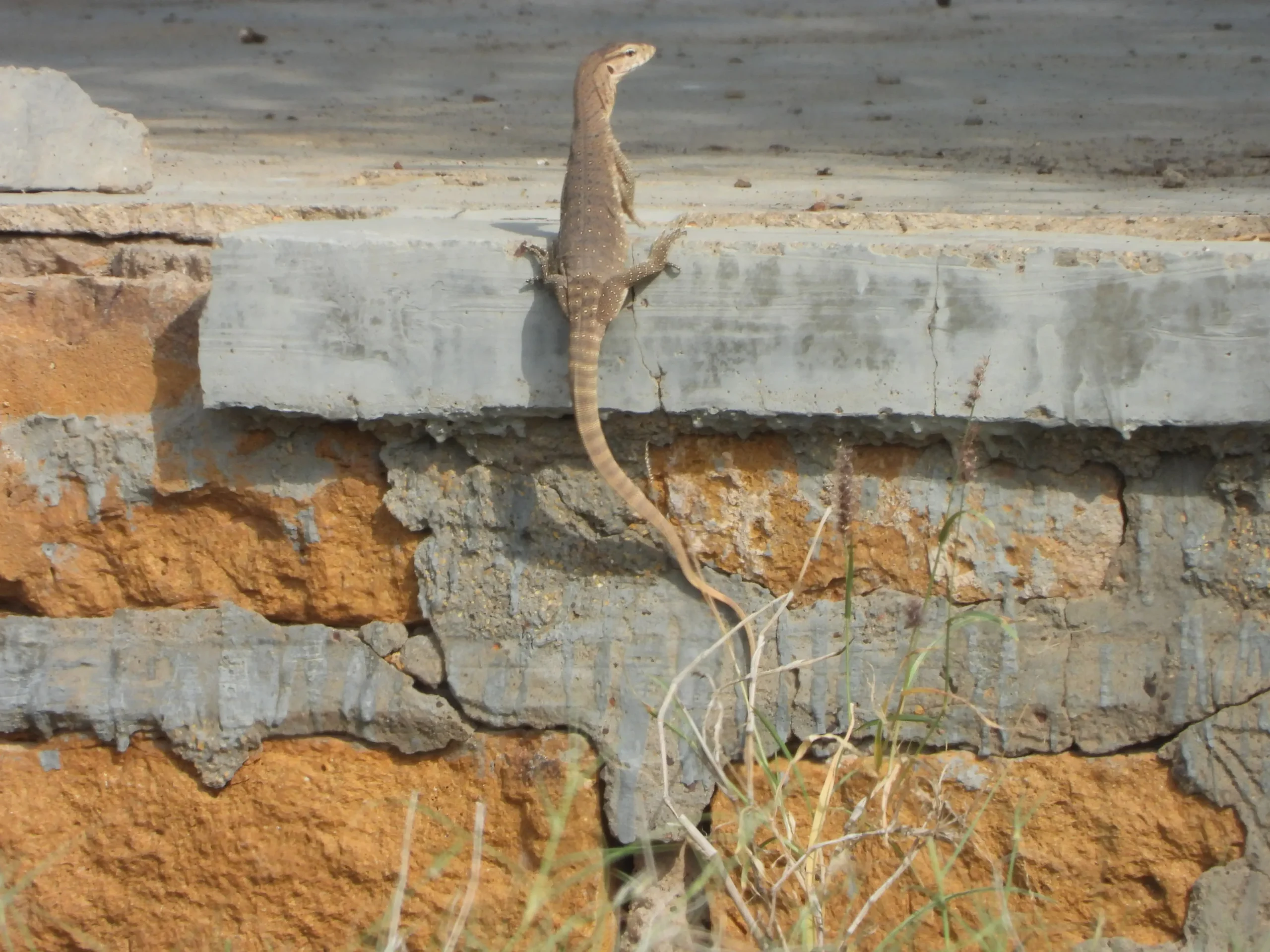 00000089-PHOTO-2025-08-16-10-18-59