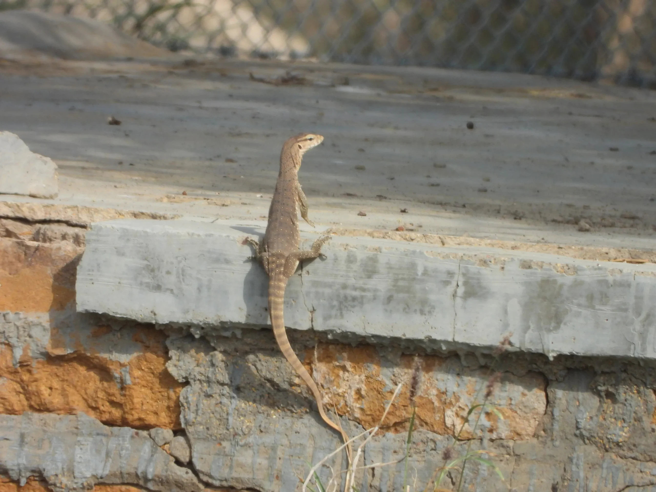 00000090-PHOTO-2025-08-16-10-19-01