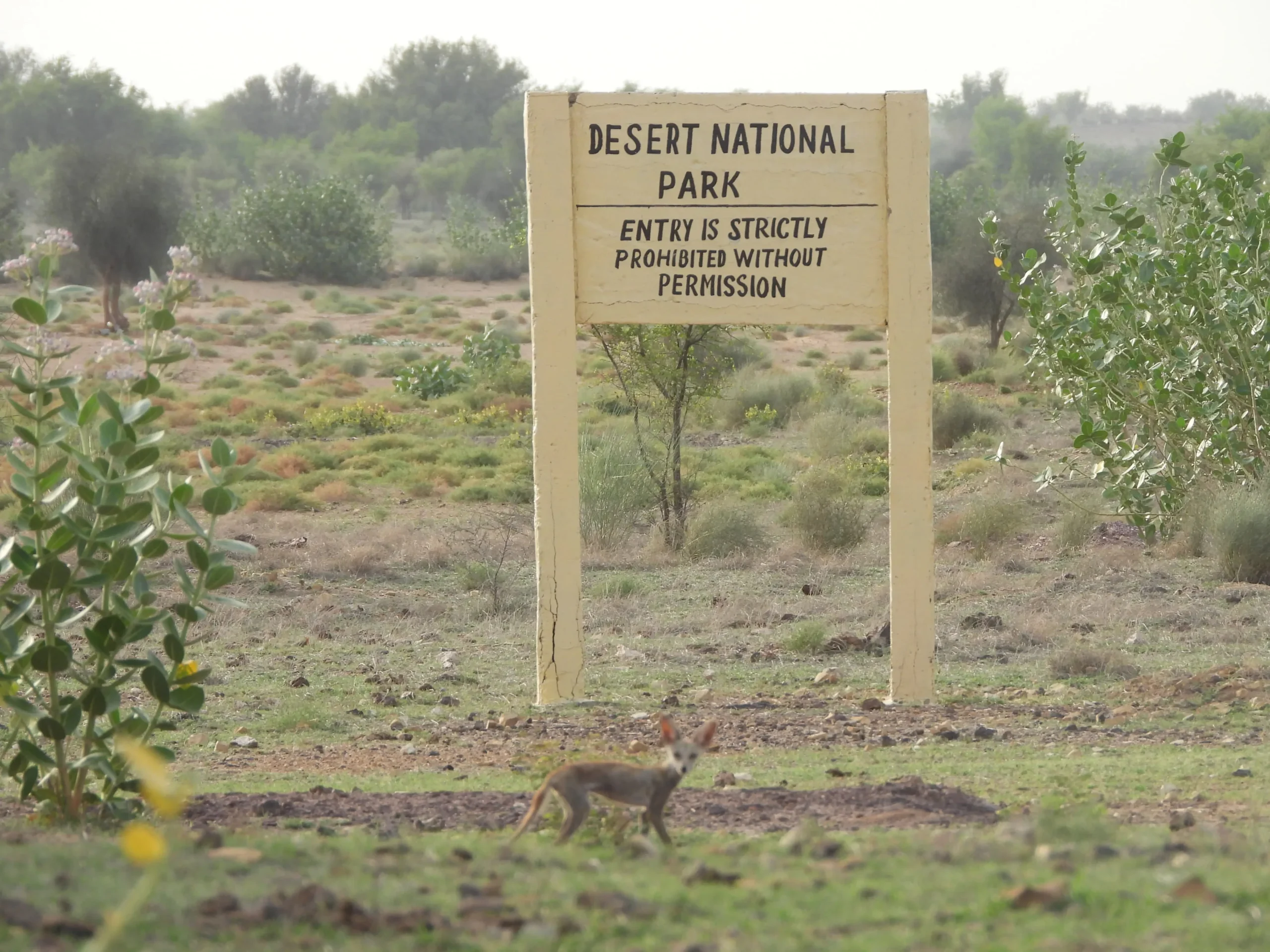 00000093-PHOTO-2025-08-16-10-19-13