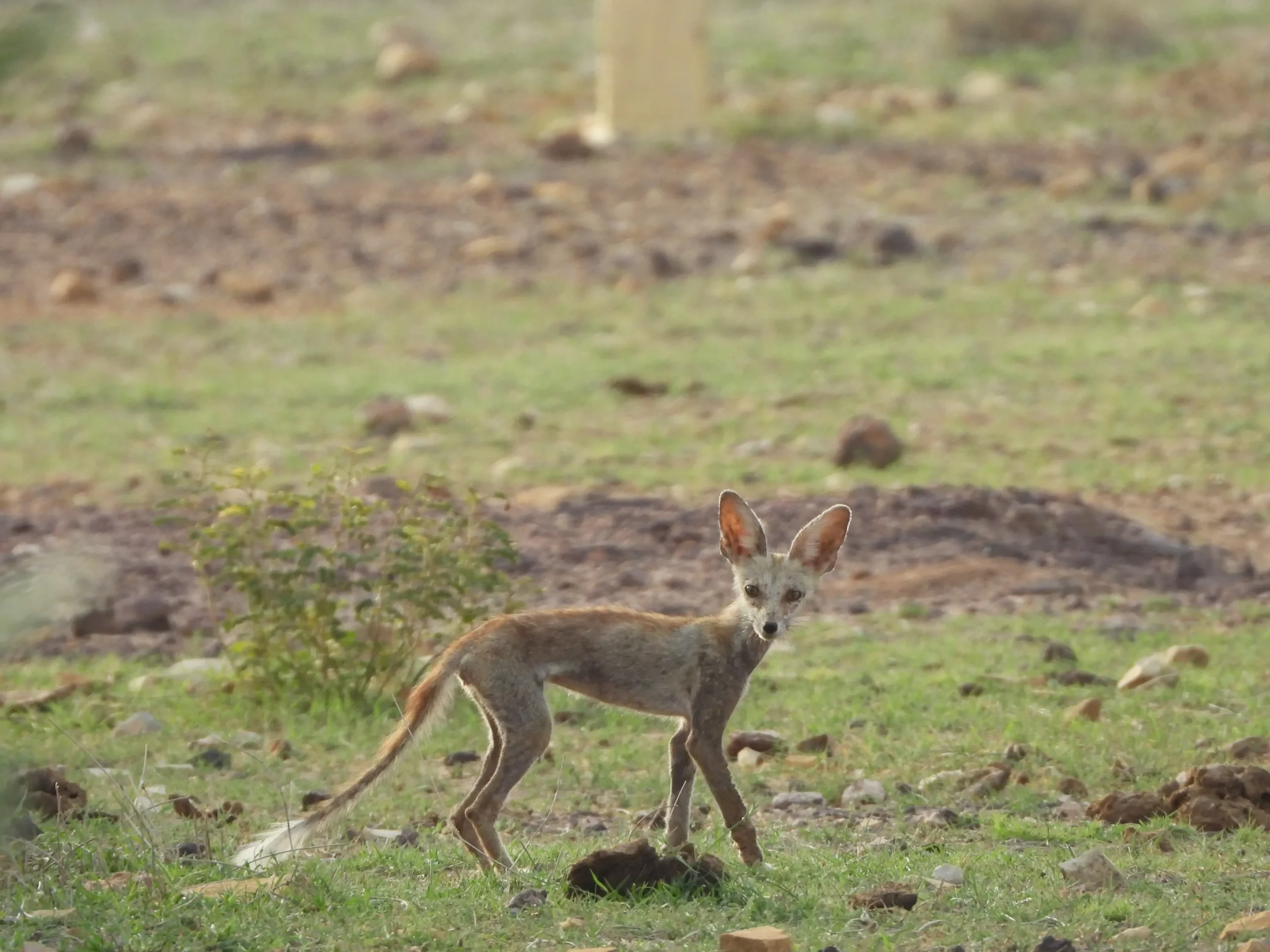 00000094-PHOTO-2025-08-16-10-19-17