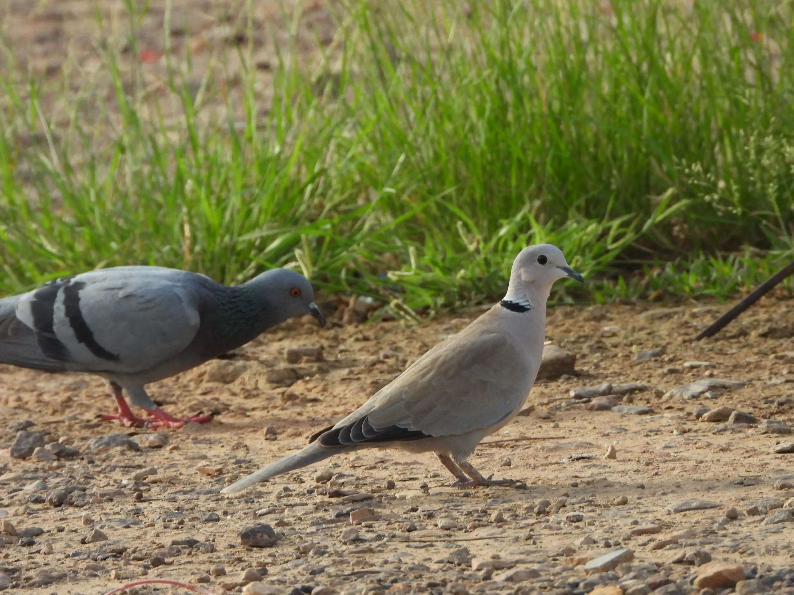 00000096-PHOTO-2025-08-16-10-21-27