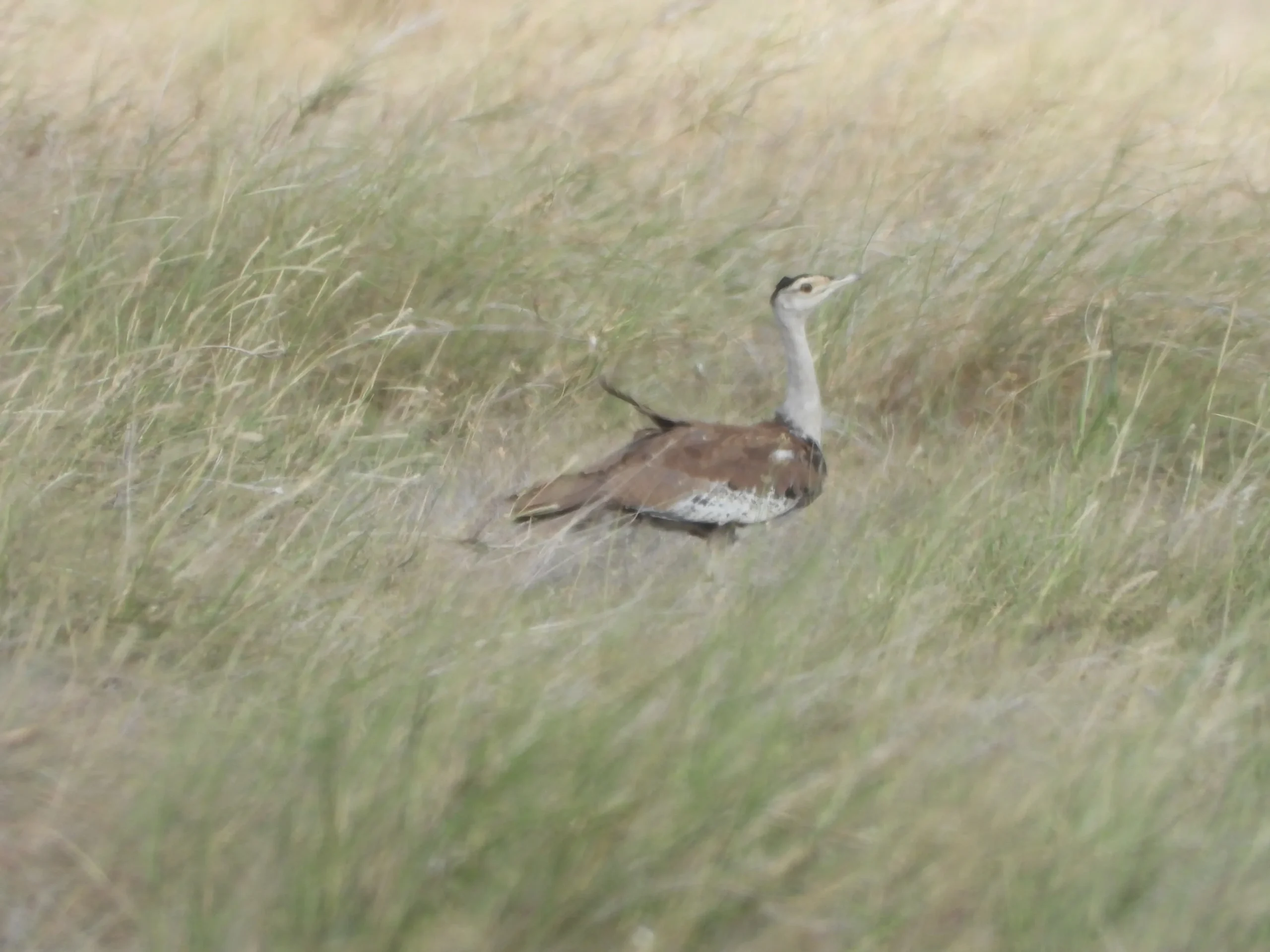 00000099-PHOTO-2025-08-16-10-21-52