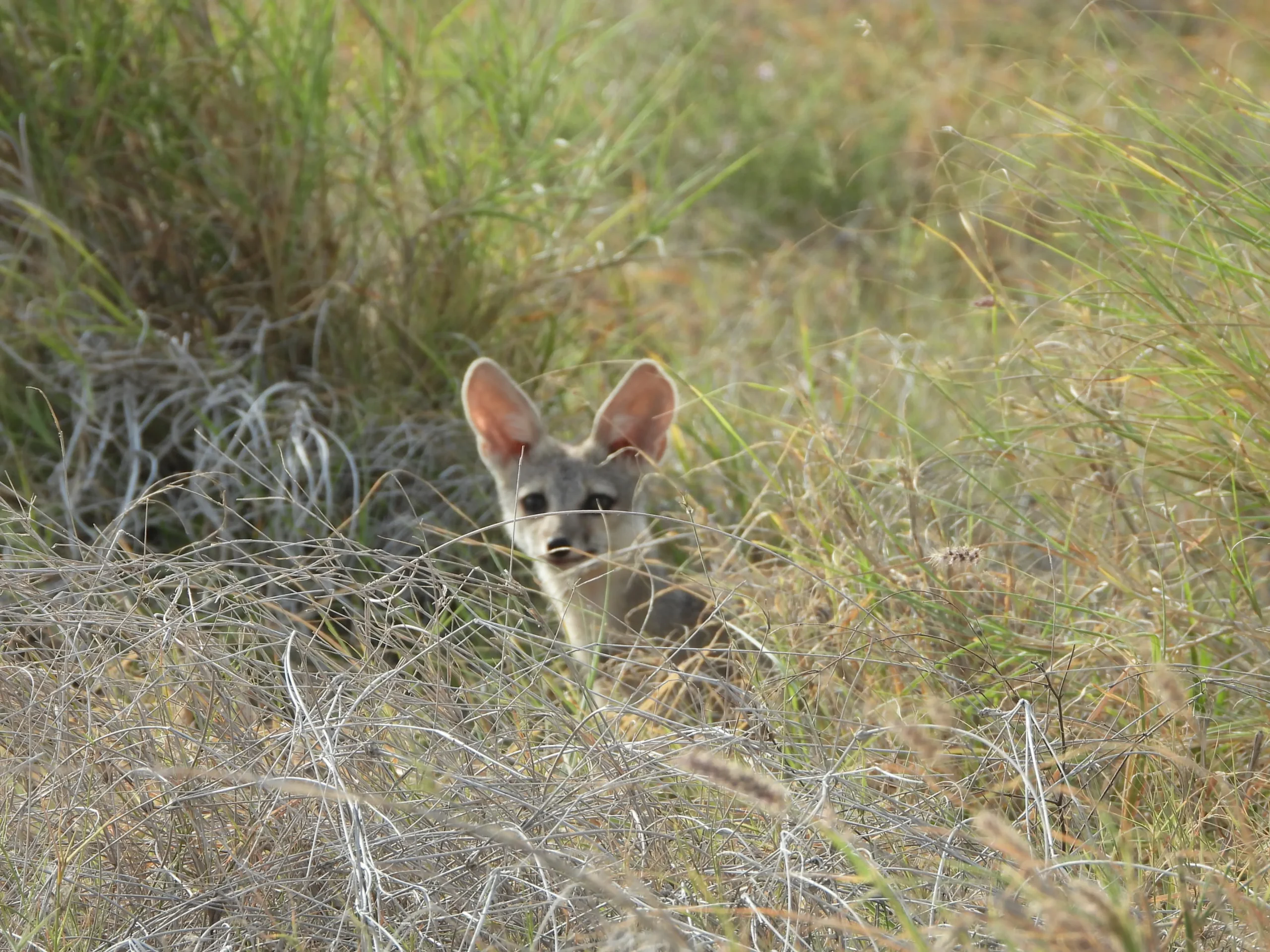 00000102-PHOTO-2025-08-16-10-28-11