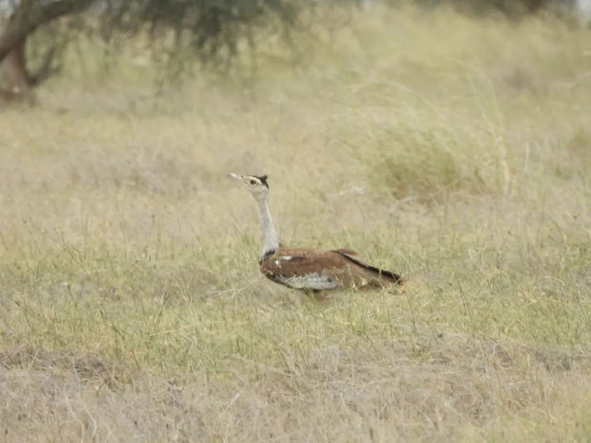 00000104-PHOTO-2025-08-16-10-28-13