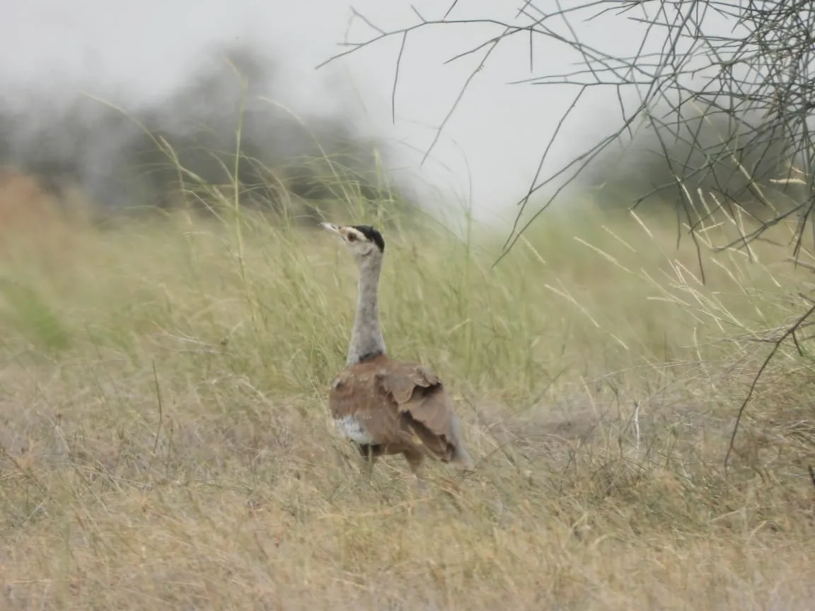 00000105-PHOTO-2025-08-16-10-28-14