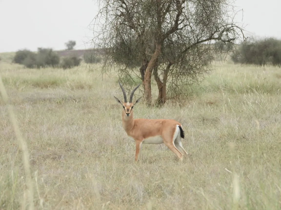 00000107-PHOTO-2025-08-16-10-28-17