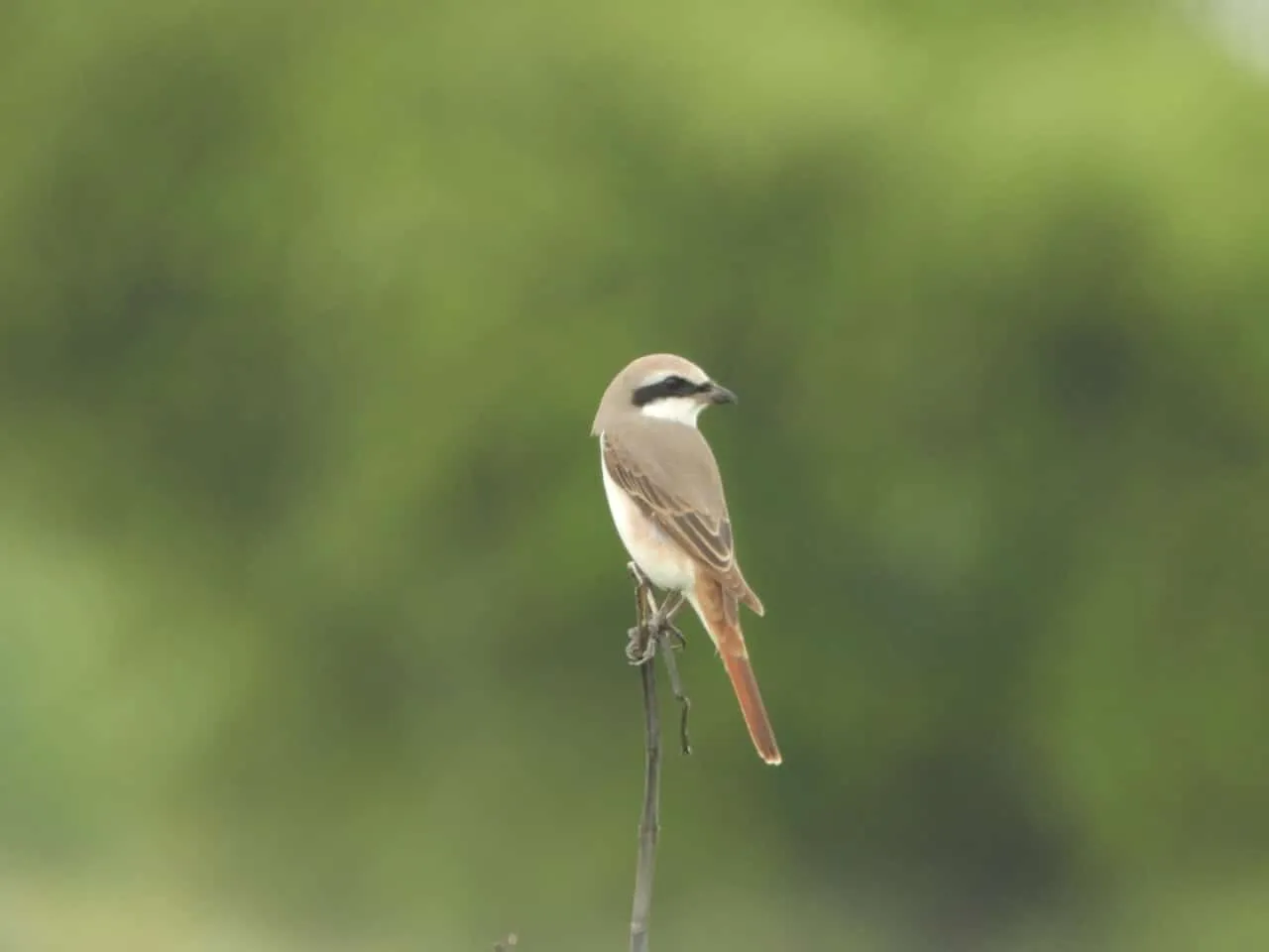 00000114-a11b92d700664c3d83c2b75b0ba02e52