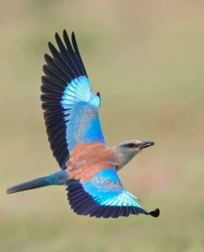 00000115-Screenshot_2024_0919_113527