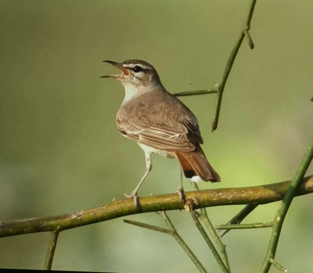 00000120-e9a70d0aee874743917f08cf0500026f