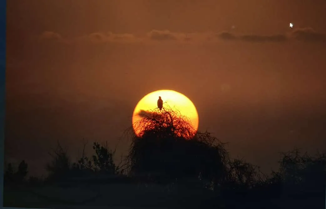 00000123-fb2d9ff655e647af9de2d43cf2dcaa83