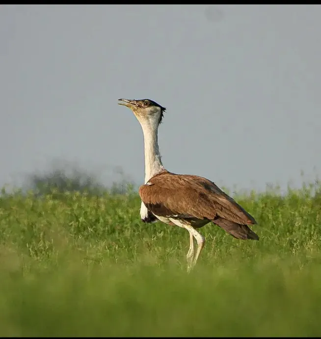 00000124-Screenshot_20240930-230448_1