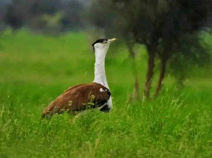 00000127-1732673725031