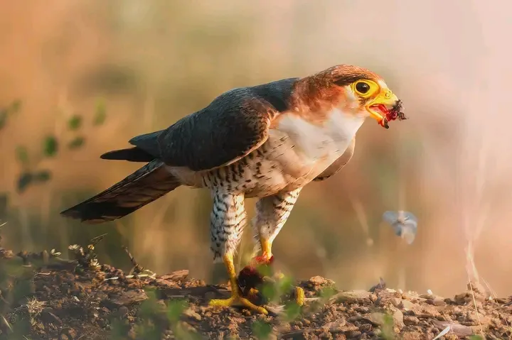 00000130-1733477814327