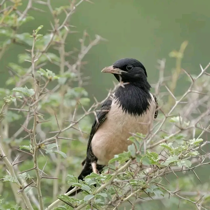 00000131-1733285967760