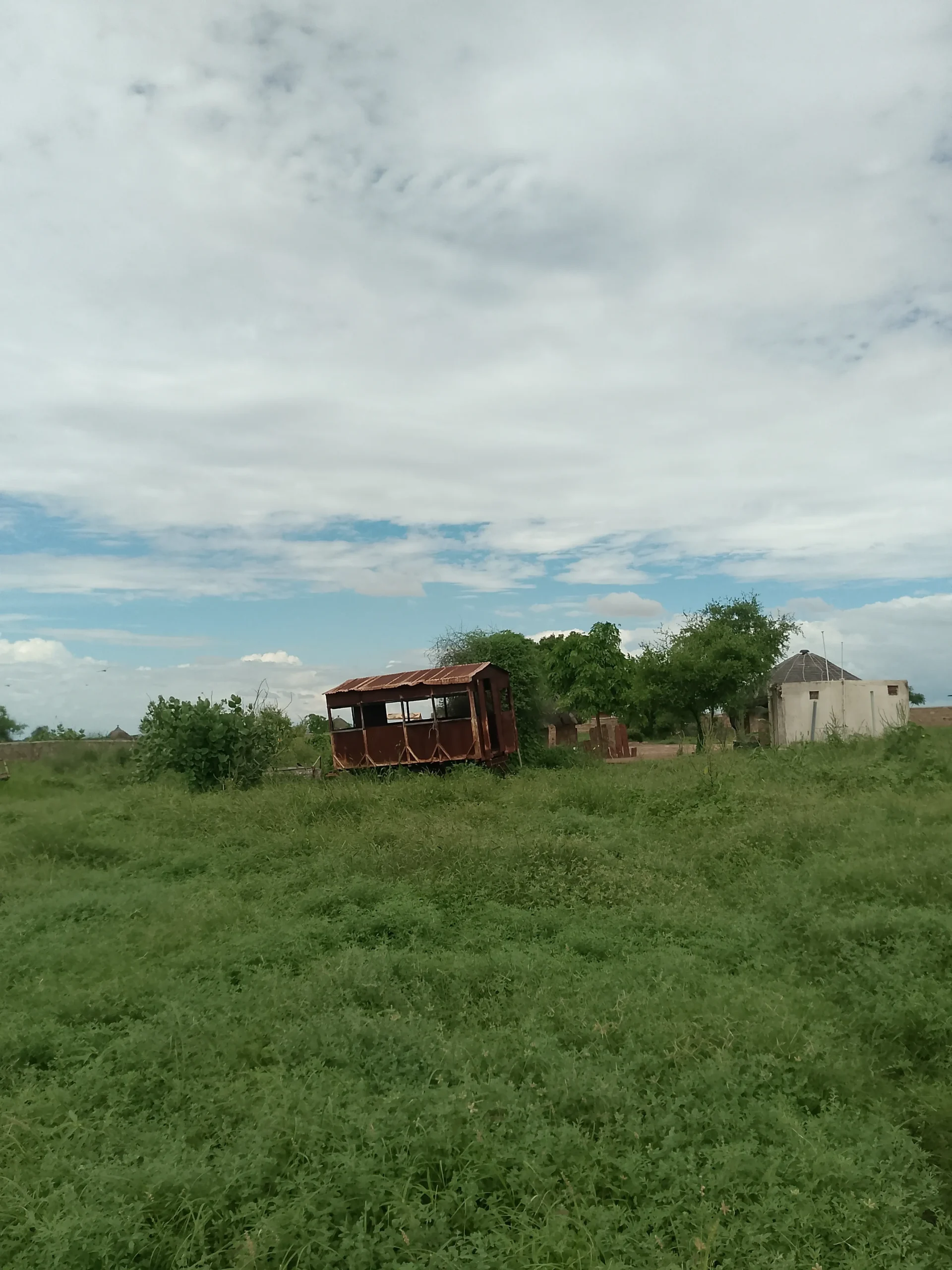 00000135-IMG_20240829_152311_962