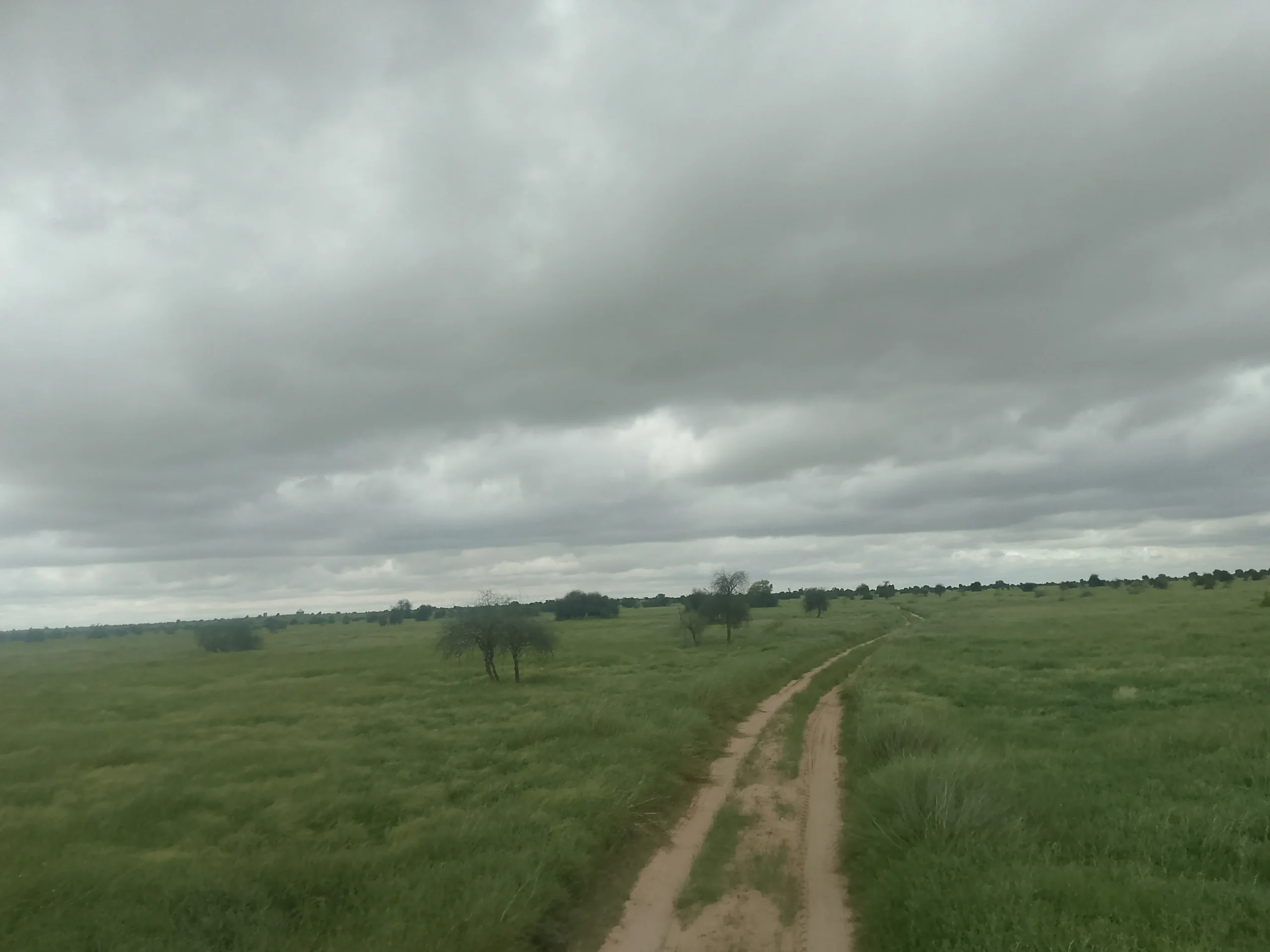 00000137-IMG_20240829_100153_833