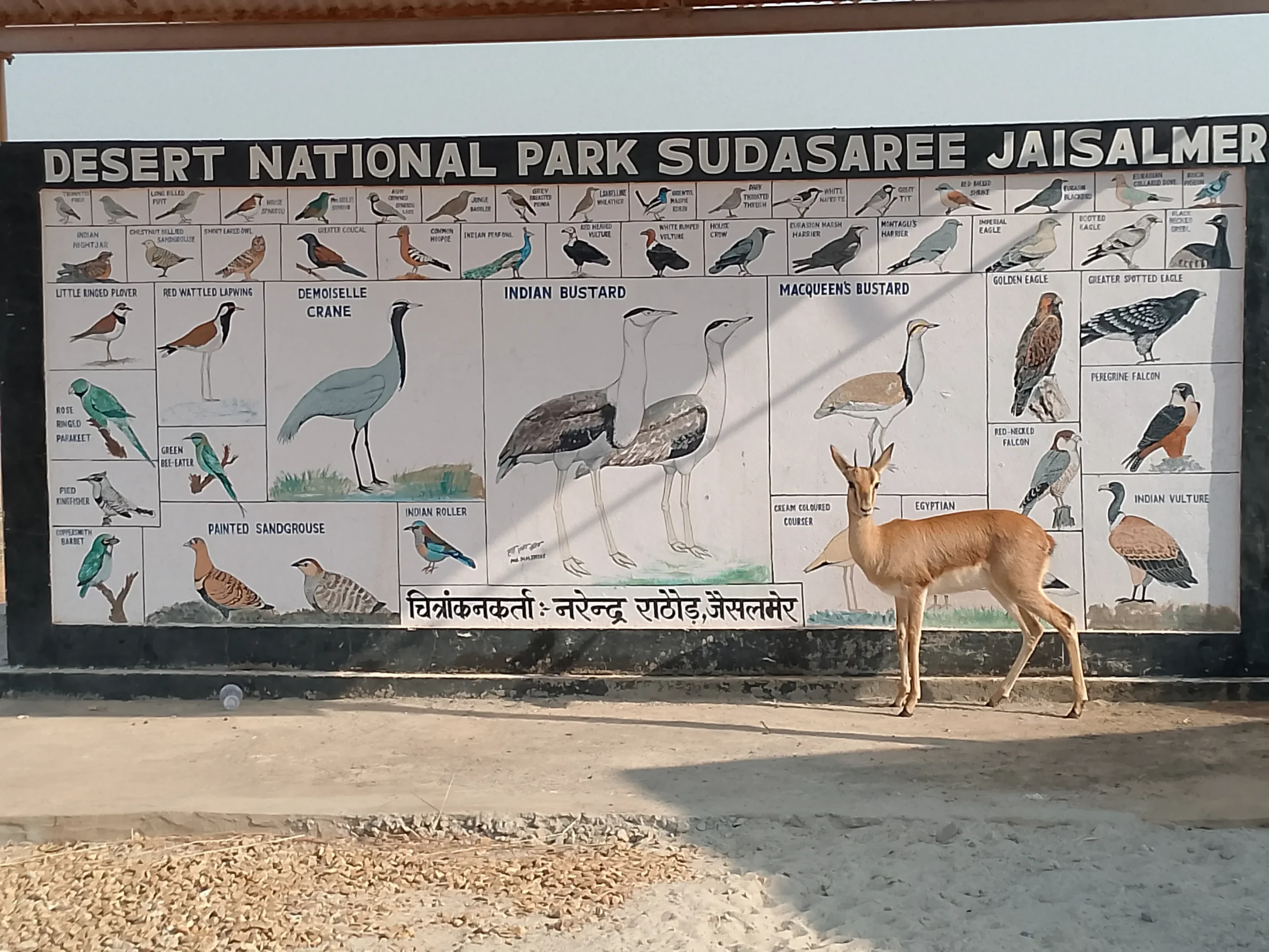 00000139-IMG_20241203_102938_829