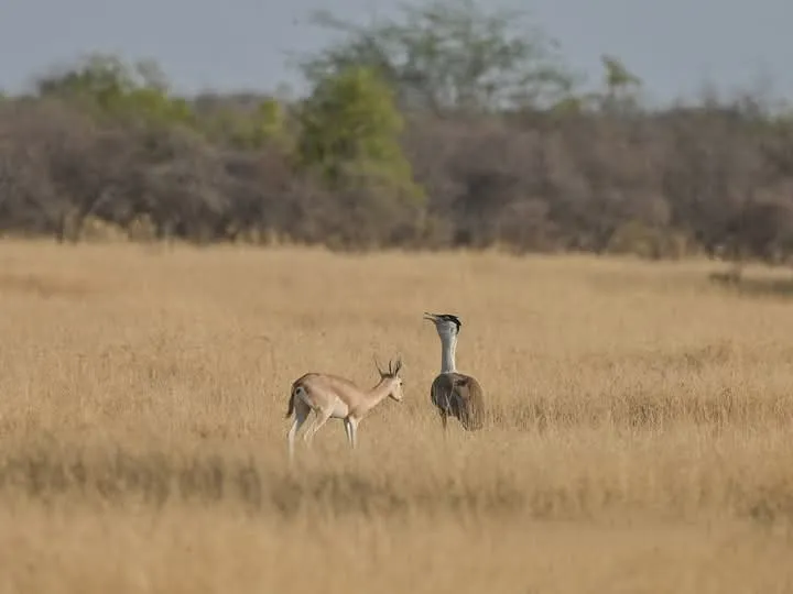 00000196-PHOTO-2025-08-17-07-03-13