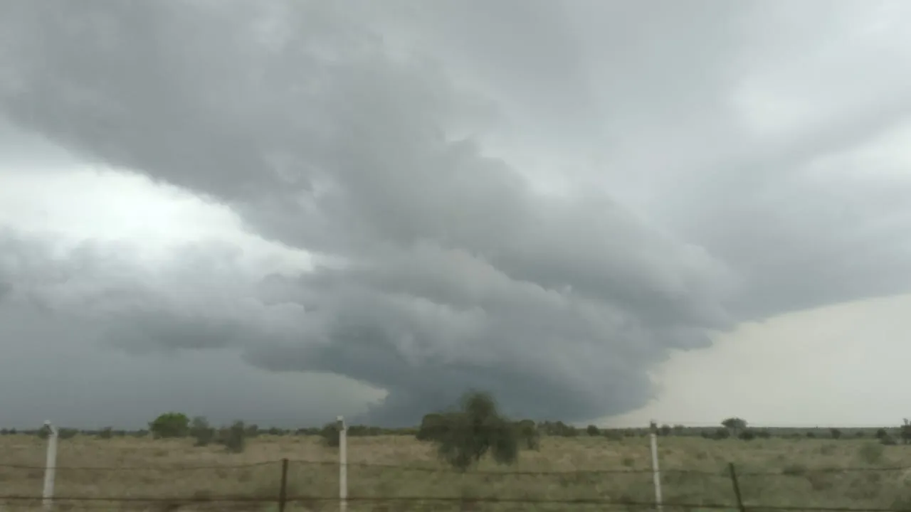 00000243-PHOTO-2025-08-21-19-04-52